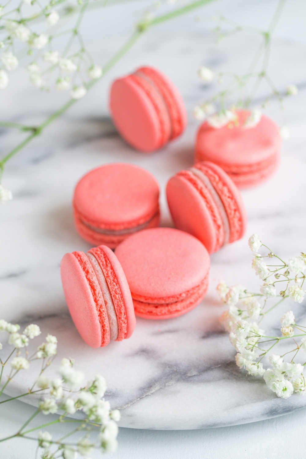 coral-cakes-macarons-VX5AP29.jpg