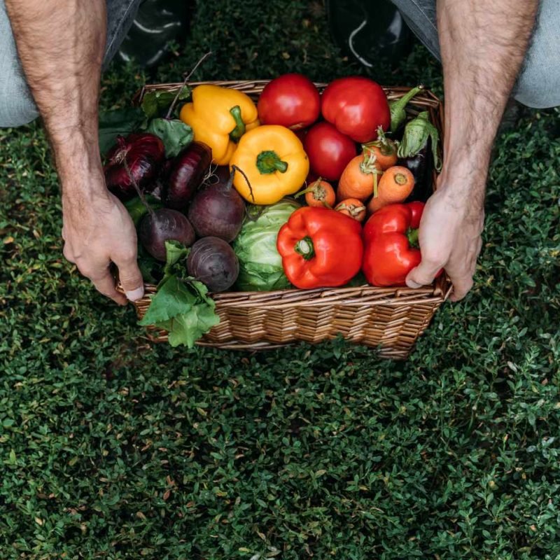 cropped-shot-of-farmer-holding-basket-with-fresh-o-4947RQG.jpg