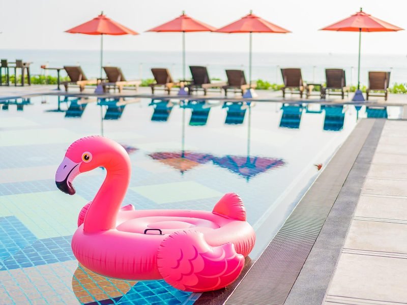 flamingo-float-around-swimming-pool-in-hotel-resor-8RE79VY.jpg